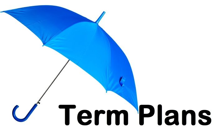 Term Plan: Meaning, Benefits, Features & How to Choose the Right Term Insurance Plan